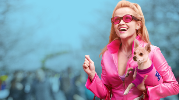 What, Like It’s Hard? The Cast of Legally Blonde 25 Years Later 