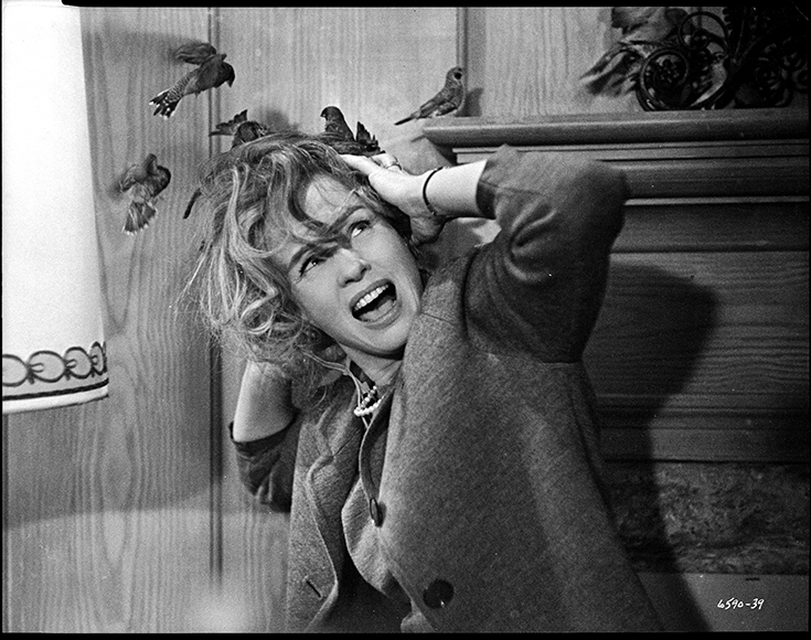 Fathom Events Celebrates The 60th Anniversary Of Alfred Hitchcock’s ‘The Birds’