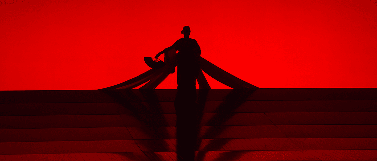 Single Background Image