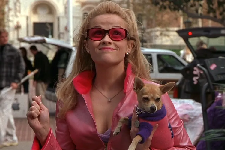 Legally Blonde Celebrates 25th Anniversary Early with Theatrical Rerelease Full of Surprises (Exclusive)